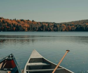 Canoë bienfaits Canoë bienfaits