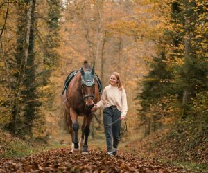 cours équitation cours équitation