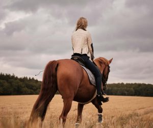 équitation bienfaits équitation bienfaits
