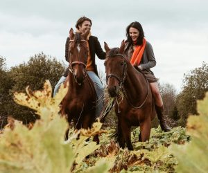 équitation équipements équitation équipements